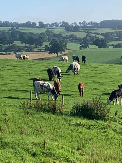 Farm Stay Caravan On Working Farm Dacre  外观 照片