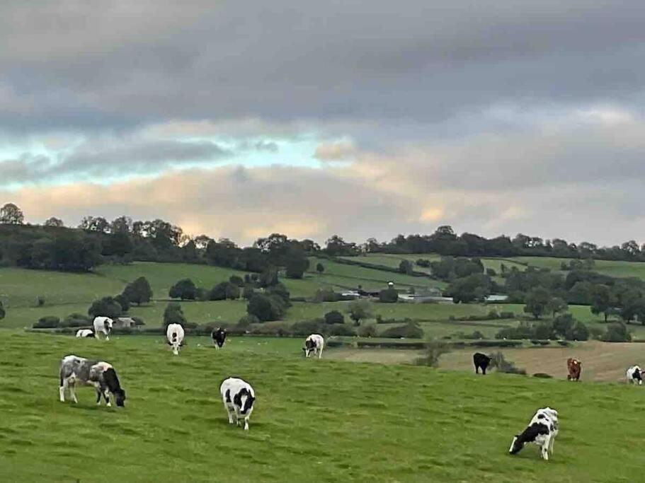 Farm Stay Caravan On Working Farm Dacre  外观 照片